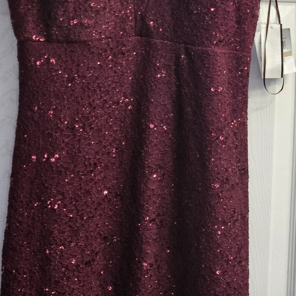 Night Way Collections Burgundy Sequin Dress